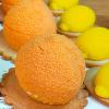 images/thumbsgallery/Pasticcini-per-eventi-Le-Torte-di-Aura.jpg